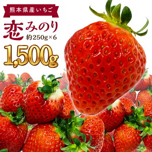 【ふるさと納税】熊本県産いちご恋みのり合計1500g約250g×6パックイチゴ苺果物フルーツ国産九州産送料無料【2024年2月上旬発送開始】