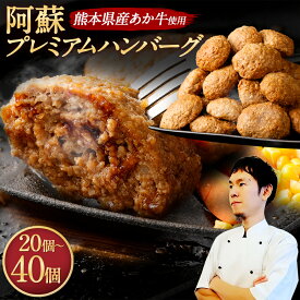 【ふるさと納税】阿蘇プレミアムハンバーグ ＜選べる容量＞合計3kg(150g×20個)または合計6kg (150g×40個)あか牛 ハンバーグ 熊本和牛 あかうし 赤牛ハンバーグ ふるさと納税 冷凍おかずセット ハンバーグセット 電子レンジ 温めるだけ 湯煎 牛肉 赤牛熊本 熊本県 国産