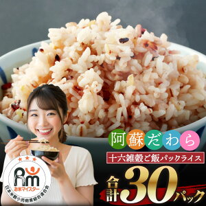 yӂ邳Ɣ[Łzh \ZG͂ pbNCX 160g×30pbN 30H v4.8kg Y G16 G gg pbNCXӂ邳Ɣ[ \Z CX^g уpbN 
