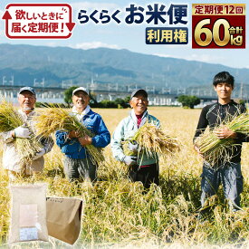 【ふるさと納税】＜定期便 12回分＞らくらくお米便 一俵コース 合計 60kg 利用権 5kg×12回 160000円 16万円 くまさんの輝き 利用券 お米 ごはん 精米 米俵 白米 玄米 分づき米 配送時期 精米レベル 指定可能 熊本県 高森町 国産 送料無料