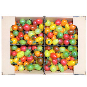 【ふるさと納税】カラフルミニトマト約3kg野菜トマト青果ベジタブル国産九州産熊本産高森町産冷蔵送料無料
