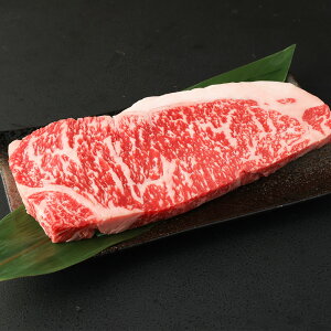 yӂ邳Ɣ[Łzy撅100lɃr[łn[v[gzIׂ ց܂Ƃ T[C 250g/500g/1kg/1.5kg/2kg 1 250g 1`8 \[X t ~ 