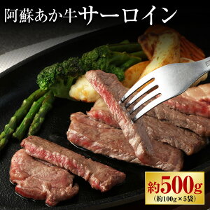 yӂ邳Ɣ[Łzh T[C 500g 100g×5   a    O Ⓚ B F{ X  yVX[p[SALE 9J