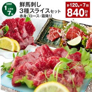 yӂ邳Ɣ[Łzyցzy17zNnh 3XCXZbgiԐgE[XE~j v840g i120g×7j nh nh n e40g XCX pbN ^pbN Ⓚ 