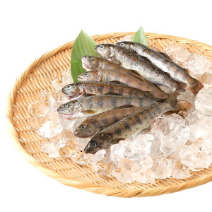 yӂ邳Ɣ[Łzh͂ ׂ̗N܂ 80g×8C v640g   싛 } ^pbN  Lv BBQ Ă Ⓚ F{Y BY Y 