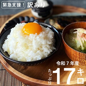 yӂ邳Ɣ[Łzs\񁄁yߘa7NYz ƌv v17kg (5kg+6kg+6kg) 󂠂     KiO uh t[hX SDGs F{ X y2025N9{Jnz y