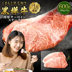 yӂ邳Ɣ[Łz܂ƍјa  A4`A5 T[CXe[L v600g (300g×2)     Xe[L јa Y BY F{Y Ⓚ  yVX[p[SALE 9
