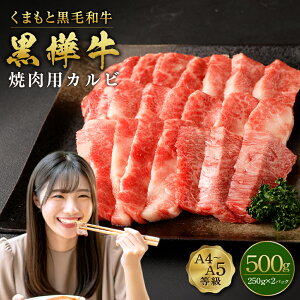 yӂ邳Ɣ[Łz܂ƍјa  A4~A5 ēpJr v500g (250g×2pbN)   ~ Ԑg  Ă BBQ јa Y BY F{Y Ⓚ 