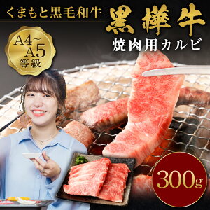 ふるさと納税 焼肉 カルビの人気商品 通販 価格比較 価格 Com ふるさと納税 焼肉 カルビの人気商品 通販 価格比較 価格 Com