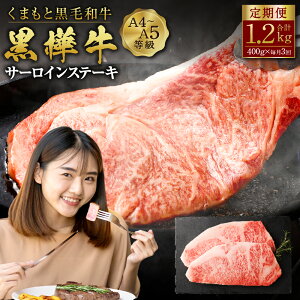 yӂ邳Ɣ[Łz3ց ܂ƍјa  A4`A5T[CXe[L 400g×3 v1.2kg a   јa ~ Xe[L  Y BY F{Y Ⓚ 