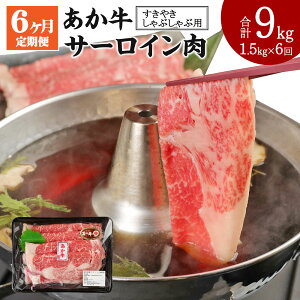 yӂ邳Ɣ[Łzy6z  ₫EԂԗp T[C v9kg 1.5kg(500g×3pbN)×6 T[C XCX  a  ԋ  Ă Ԃ 