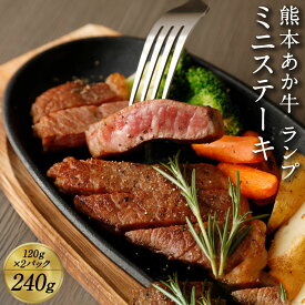 【ふるさと納税】熊本 赤牛ミニステーキ 240g または 480g 1パック 120g 選べる 容量 ランプ使用 国産 九州産 熊本県産 希少部位 冷凍 肉 あか牛 和牛 ステーキ 送料無料