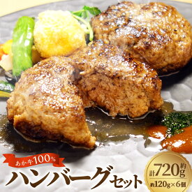 【ふるさと納税】あか牛100％ハンバーグセット 計720g（約120g×6個） 牛肉 お肉 和牛 褐毛和種 霜降り 赤身 惣菜 冷凍 熊本県 西原村 送料無料