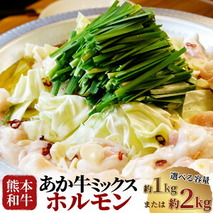 yӂ邳Ɣ[ŁzIׂeʁF{a z v1kgi500g×2jEv2kgi500g×4j ~bNXz   咰 Z}C ԃZ}C   a јa ~