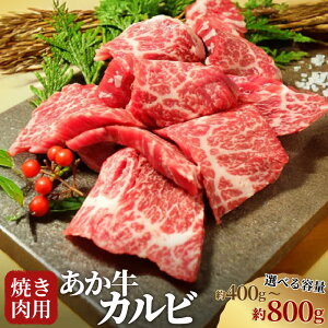 yӂ邳Ɣ[ŁzIׂeʁ Jr Ăp 400g v800gi400g×2j o   a јa ~ Ԑg Ⓚ F{  