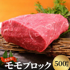 yӂ邳Ɣ[ŁzF{a  ubN 500g   a јa ~ Ԑg TV [Xgr[t Ⓚ F{   yVX[p[SALE 9J