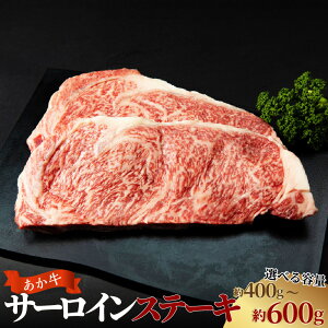 yӂ邳Ɣ[ŁzIׂeʁ T[CXe[L v400gi200g×2j v600gi200g×3j   a јa ~ Ԑg Ⓚ F{  