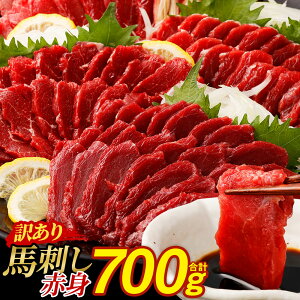 yӂ邳Ɣ[Łz󂠂 nh Ԑg v 700g s 4`5pbN 󂠂 킯  ^pbN wV[  n Ⓚ F{  h  yVX[p[SALE 9J