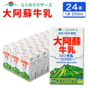 yӂ邳Ɣ[Łz刢h 250ml×24{ v 6000ml 6L 炭̂}U[Y h  ~N i  100gp  퉷ۑ\ pbN Zbg Y BY F{Y 
