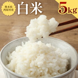 【ふるさと納税】お米 白米 5kg 米 精米 単一原料米 ヒノヒカリ ひのひかり 主食 グルメ 炭水化物 国産 九州産 熊本県産 西原村産 送料無料