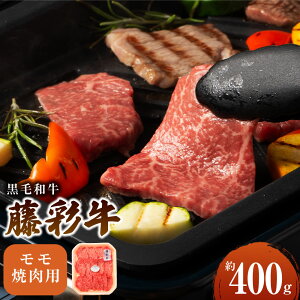 yӂ邳Ɣ[ŁztW`N ʋ  ēp 400g јa a Y  BBQ ē BY  Ⓚ  yVX[p[SALE 9J
