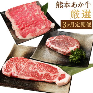 yӂ邳Ɣ[Łzy3ցzF{ IiVg[uA 1.5kg T[C 1kg ₫ Ԃԗp 1.5kgjԋ  ܂Ƃ    Y Xe[L 