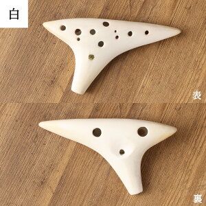 yӂ邳Ɣ[ŁzqV SORA IJi SG 16cm×9cm Iׂ 2F   \vmG yJ  F{ h   yVX[p[SALE 9J