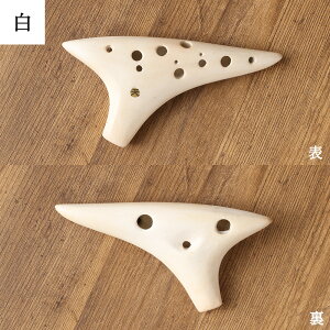 yӂ邳Ɣ[ŁzqV SORA IJi SC 14cm×8cm Iׂ 2F   \vmC yJ  F{ h   yVX[p[SALE 9J