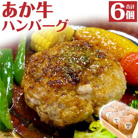 【ふるさと納税】あか牛 ハンバーグ 約165g×6個 合計約990g 梅肉ポーク配合 和牛 牛肉 牛 豚 お肉 洋食 惣菜 個包装 冷凍 九州産 国産 熊本県 西原村 送料無料
