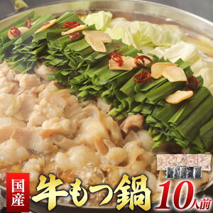 yӂ邳Ɣ[Łz Y  Zbg v900g 10lO 2lO×5 c Zbg   z Zbg 傤 Y   咰 MA Ⓚ BY F{