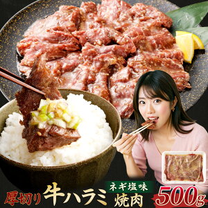 yӂ邳Ɣ[Łz؂ n~ēilMj 500g n~     n~ Ă ē BBQ AEghA ȒP Ă F{ B Ⓚ   yVX[p[SALE
