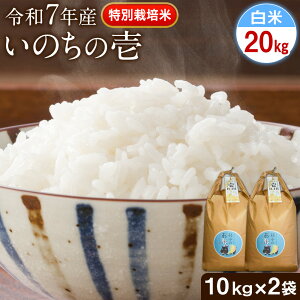 yӂ邳Ɣ[ŁzV ߘa7NY ʍ͔| ̂̈() Iׂ 4kg 5kg 10kg 20kg Gĕts10{-11{oׁt F{ 숢h F{Y F̂ 