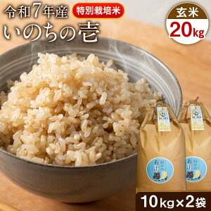 yӂ邳Ɣ[ŁzV ߘa7NY ʍ͔| ̂̈() Iׂ 5kg 10kg 20kg Gĕts10{-11{t F{ 숢h F{Y F̂