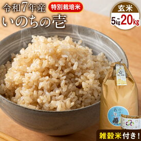 【ふるさと納税】令和7年産 特別栽培米 いのちの壱(玄米) 選べる 5kg 10kg 20kg 雑穀米付き《60日以内に出荷予定(土日祝除く)》 熊本県 南阿蘇村 熊本県産 虹色のかば