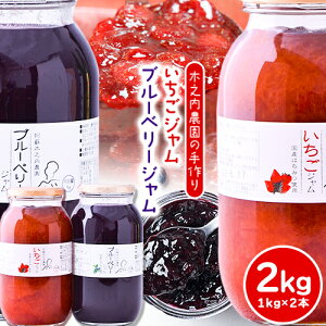 yӂ邳Ɣ[ŁzʎIؔV_̎肢Wƃu[x[W@2kgi1kg×2{js30ȓɏoח\(yj)t F{숢h C`S  _ 嗱 u[