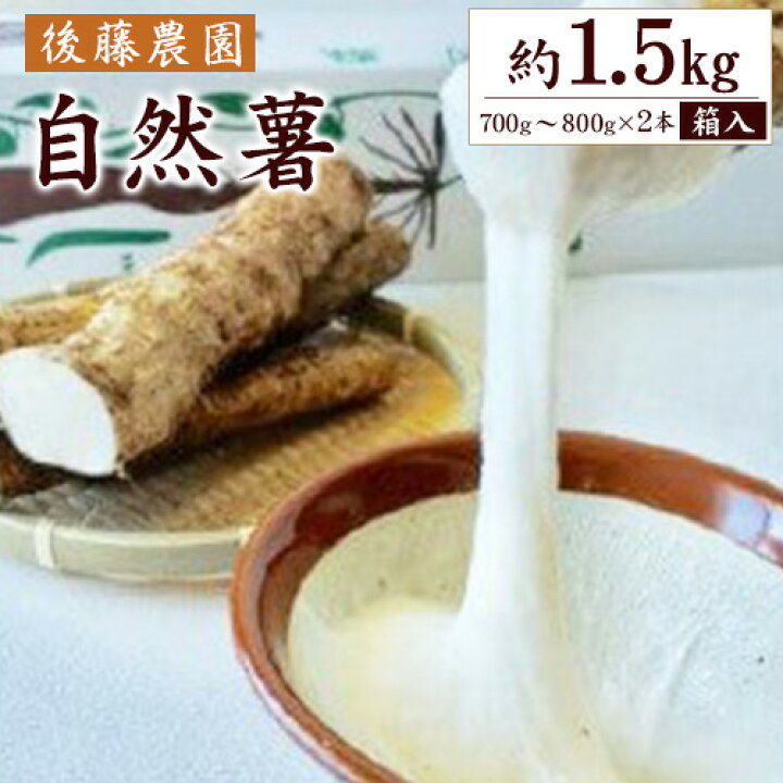 楽天市場】【ふるさと納税】後藤農園の自然薯 約1.5kg箱入り (700g 