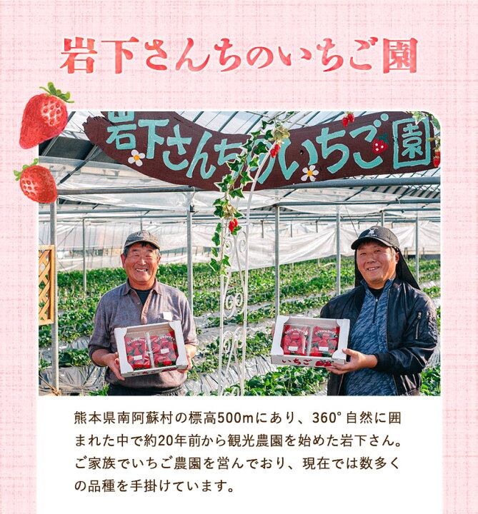 楽天市場 ふるさと納税 アイス 南阿蘇岩下さんちのいちご園 オリジナル ミルフィーユ アイス 00ml 熊本県南阿蘇村 30日以内に順次出荷 土日祝を除く 苺 イチゴ 熊本県南阿蘇村