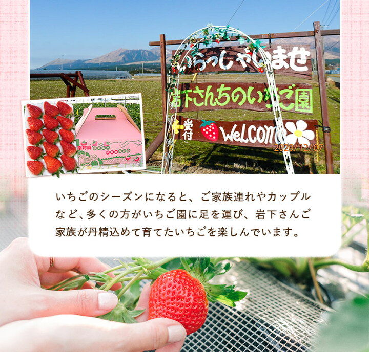 楽天市場 ふるさと納税 アイス 南阿蘇岩下さんちのいちご園 オリジナル ミルフィーユ アイス 00ml 熊本県南阿蘇村 30日以内に順次出荷 土日祝を除く 苺 イチゴ 熊本県南阿蘇村