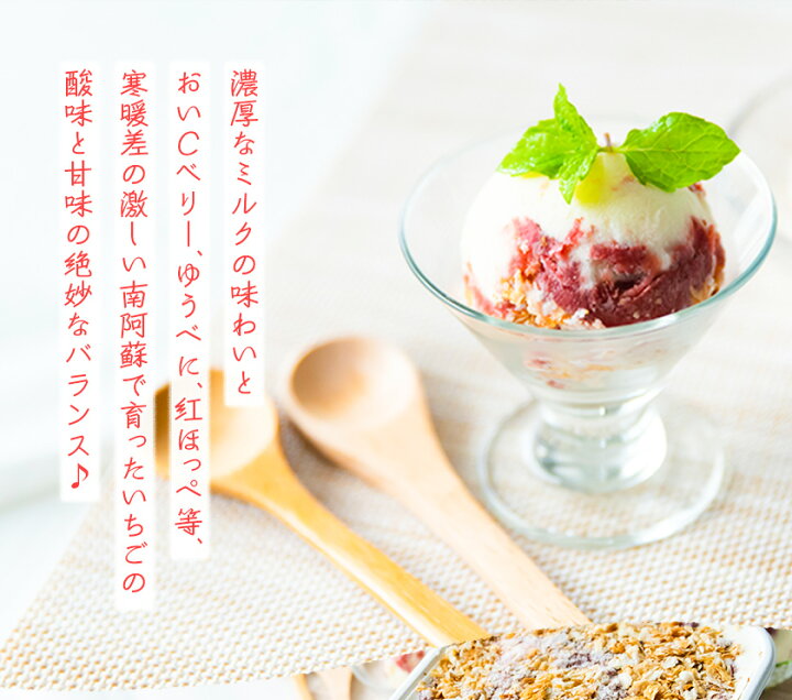 楽天市場 ふるさと納税 アイス 南阿蘇岩下さんちのいちご園 オリジナル ミルフィーユ アイス 00ml 熊本県南阿蘇村 60日以内に順次出荷 土日祝を除く 苺 イチゴ 熊本県南阿蘇村