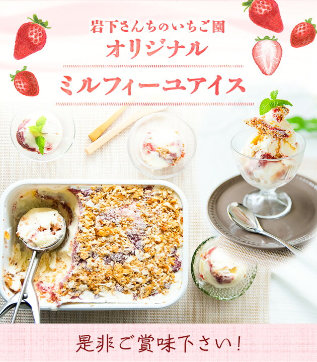 楽天市場 ふるさと納税 アイス 南阿蘇岩下さんちのいちご園 オリジナル ミルフィーユ アイス 00ml 熊本県南阿蘇村 30日以内に順次出荷 土日祝を除く 苺 イチゴ 熊本県南阿蘇村