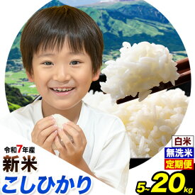 【ふるさと納税】 新米 令和7年産 無洗米 定期便 も 選べる こしひかり 白米 or 無洗米 選べる精米方法 内容量 5kg 10kg 15kg 20kg 白米 精米 無洗米 熊本県産(南阿蘇村産含む) 単一原料米 南阿蘇村 産 米 定期便 選べる《選べる出荷時期》