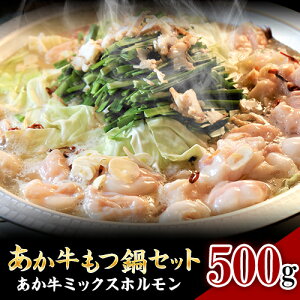 yӂ邳Ɣ[ŁzZbg 550g s60ȓɏoח\(yj)tO{Y  