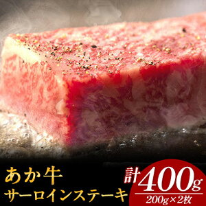 yӂ邳Ɣ[Łz T[CXe[L v400g(200g×2) ̊ s60ȓɏoח\(yj)tF{ 숢h