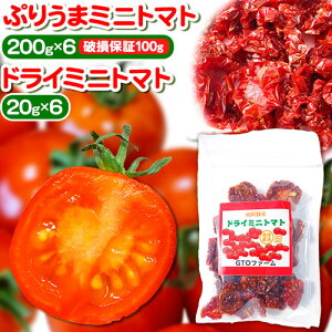 yӂ邳Ɣ[ŁzՂ肤܃~jg}g hC~jg}g Zbg Iׂ v900g or 1320gg}g ~jg}g  GTOt@[ F{ 숢hs30ȓɏoח\(yj)t