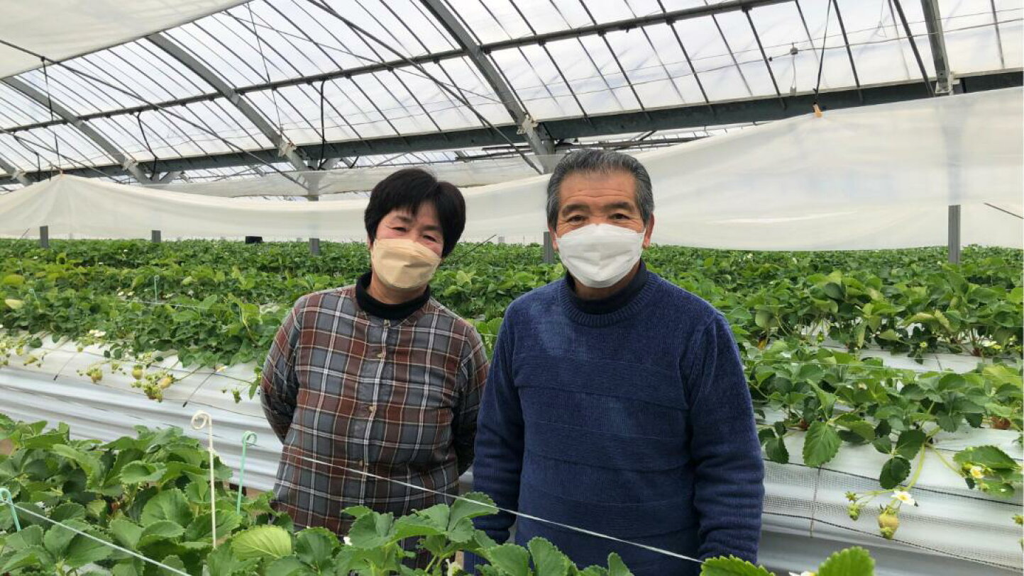 公の場での発言・インタビュー報道記録