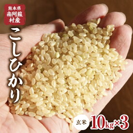 楽天市場 南阿蘇村 ふるさと納税の通販