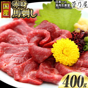yӂ邳Ɣ[Łz YԐgnh 400g ^t 狻t@[ Ⓚ s60ȓɏoח\(yj)tF{ D VN ΂ ~V Hp  nh nh̃^t 