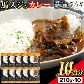 【ふるさと納税】たっぷり！馬スジカレー 10食セット 千興ファーム《60日以内に出荷予定(土日祝除く)》馬スジ カレー お肉 馬すじ カレーライス 馬肉 贈答 ギフト グルメ お取り寄せ 熊本県 御船町 送料無料 個包装 大人気 簡単調理