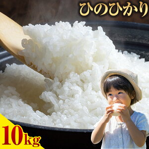 yӂ邳Ɣ[Łz  Ђ̂Ђ  Iׂ e v5kg v10kg s30ȓɏoח\(yj)t qmqJ   F{Y  uh  Iׂ