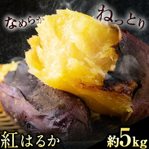 yӂ邳Ɣ[Łzg͂邩 5kgs30ȓɏoח\(yj)tF{ D H {  LЃjV